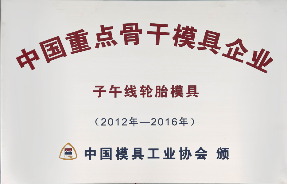 China’s Key Enterprise of Molds